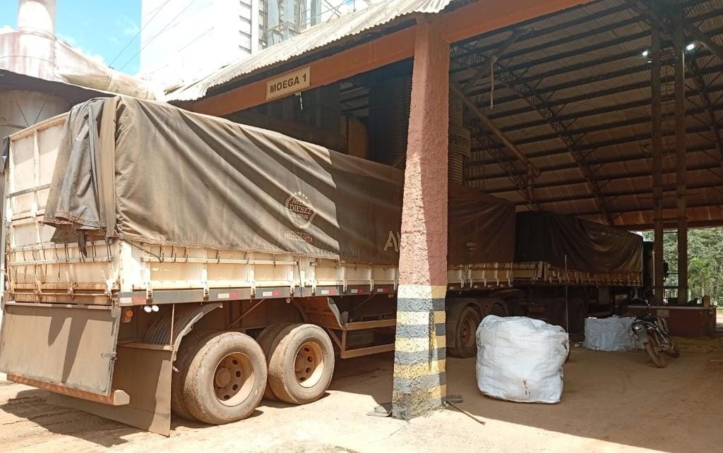 Homem é preso com CNH falsa e caminhão adulterado ao tentar carregar soja em fazenda de MT