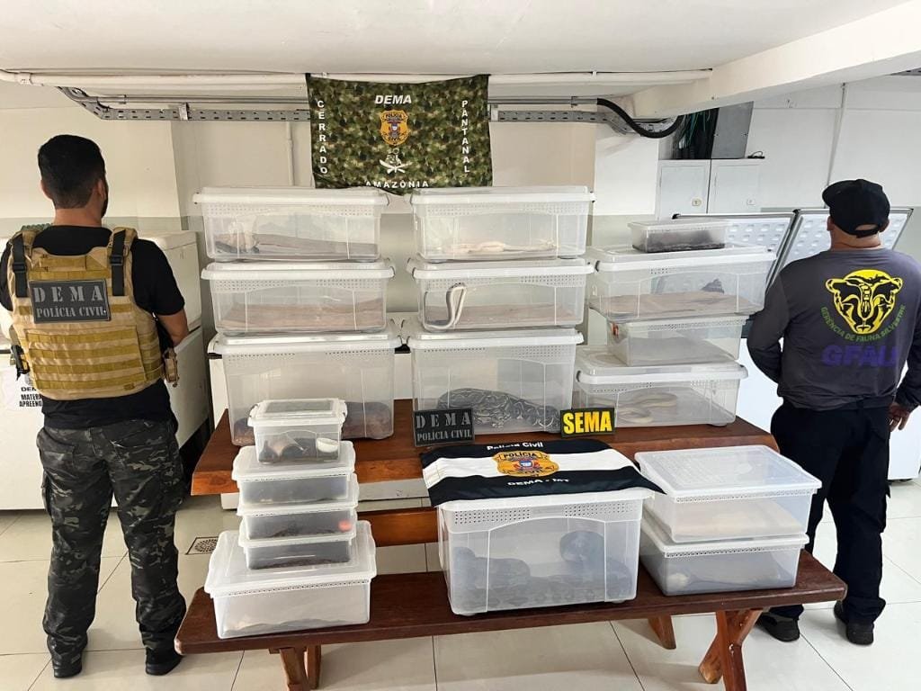 PC mira biólogo por manutenção irregular de animais silvestres e exóticos em bairro de Cuiabá