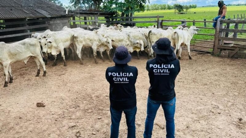 Polícia Civil recupera gado furtado e evita prejuízo de mais R$ 120 mil a pecuarista