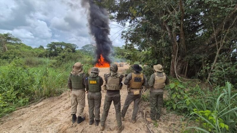 Polícia Civil deflagra Operação Logging e causa prejuízo de R$ 3,5 milhões ao crime ambiental