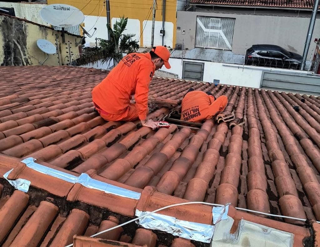 Corpo de Bombeiros resgata gatos em situações de risco em Cuiabá e interior