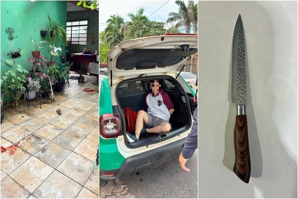 Adolescente de 15 anos mata o próprio tio a facadas e é apreendido em VG