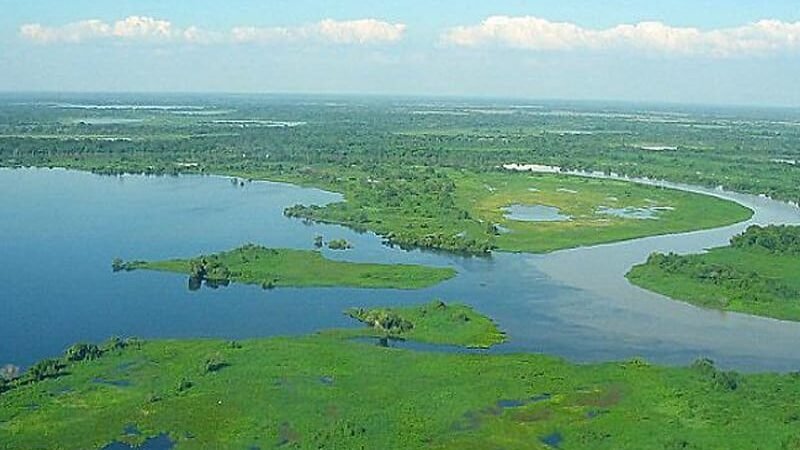 MPF abre inquérito civil para apurar desmatamento ilegal em assentamento no Pantanal de MT