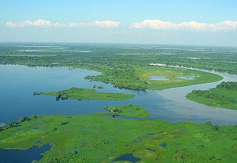 MPF abre inquérito civil para apurar desmatamento ilegal em assentamento no Pantanal de MT