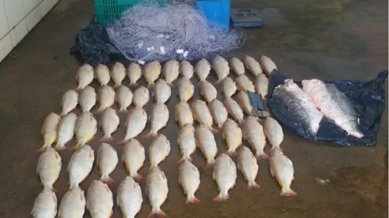 Batalhão Ambiental prende homem transportando 52 unidades de pescado irregular
