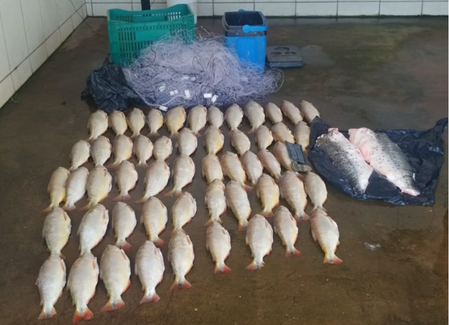 Batalhão Ambiental prende homem transportando 52 unidades de pescado irregular