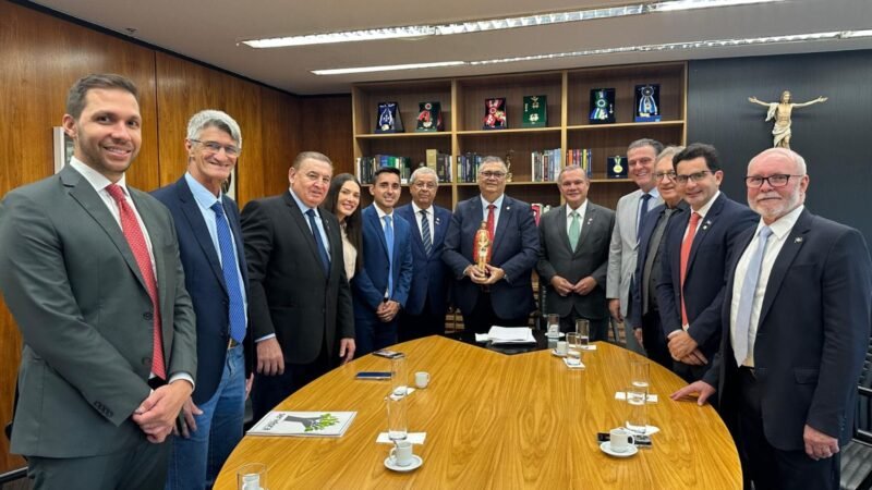 Plebiscito pode abrir caminho para solução de disputa centenária entre MT e Pará