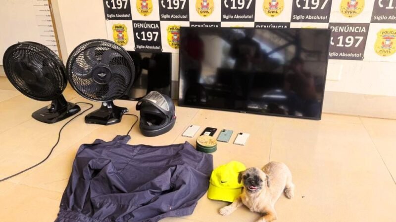 Polícia Civil prende criminoso  que invadiu residência e furtou eletrônicos, carro e cachorro