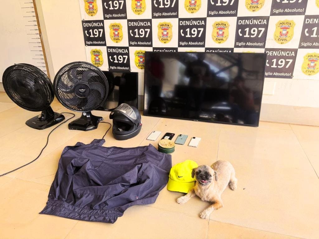 Polícia Civil prende criminoso  que invadiu residência e furtou eletrônicos, carro e cachorro