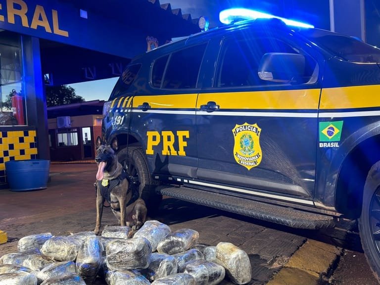 Passageiro é preso com 38 kg de supermaconha em ônibus na rodovia BR-364 em MT