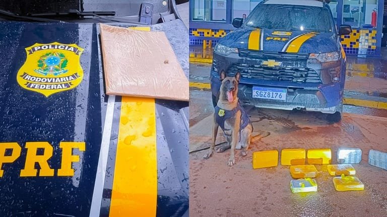 PRF prende dois traficantes com drogas em ônibus na rodovia BR-364 em MT