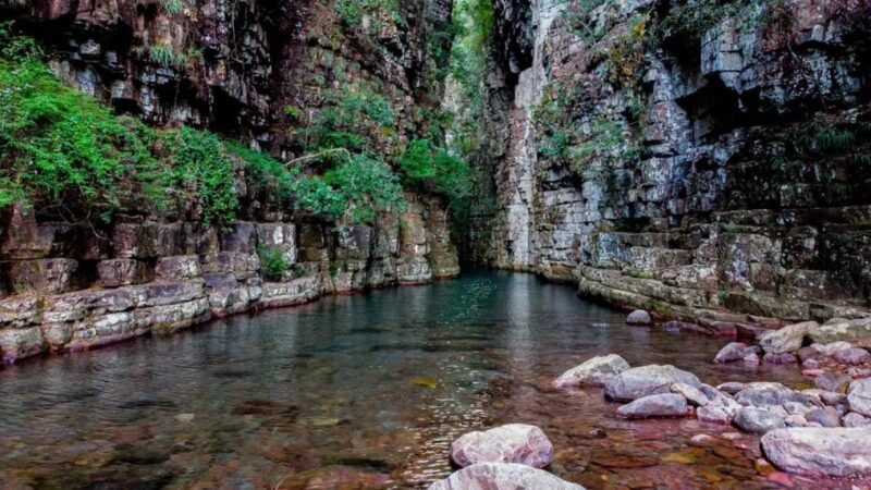 Justiça mantém multa ambiental de R$ 6 milhões por desmatamento em MT