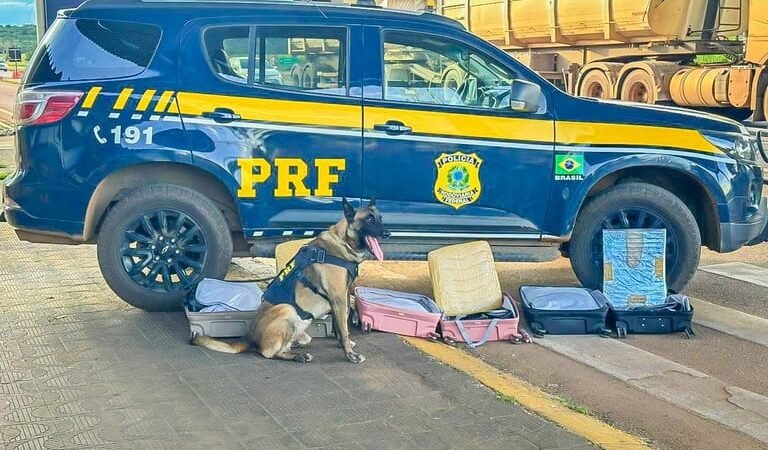 PRF prende boliviano e outros seis traficantes com 21 quilos de cocaína na rodovia BR-364