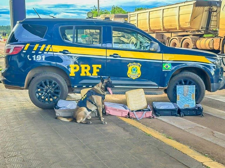 PRF prende boliviano e outros seis traficantes com 21 quilos de cocaína na rodovia BR-364