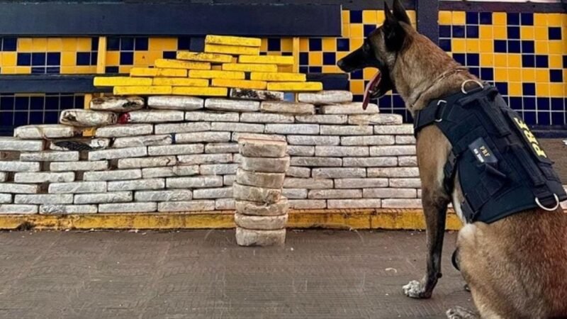 PRF apreende mais de 136 kg de cocaína e pasta base na rodovia BR-364 em Mato Grosso