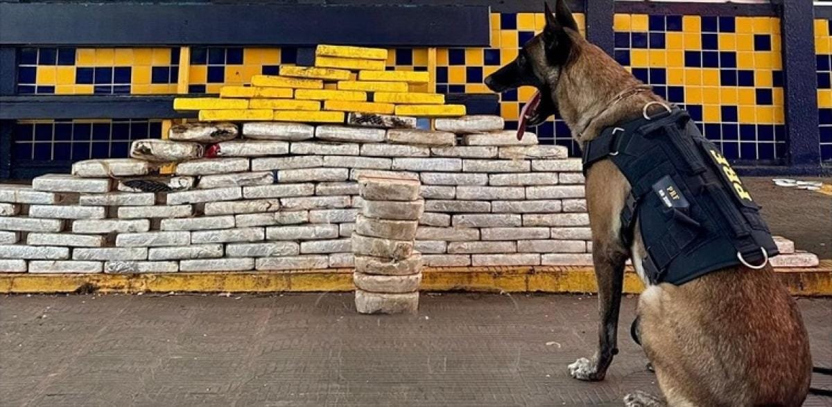 PRF apreende mais de 136 kg de cocaína e pasta base na rodovia BR-364 em Mato Grosso