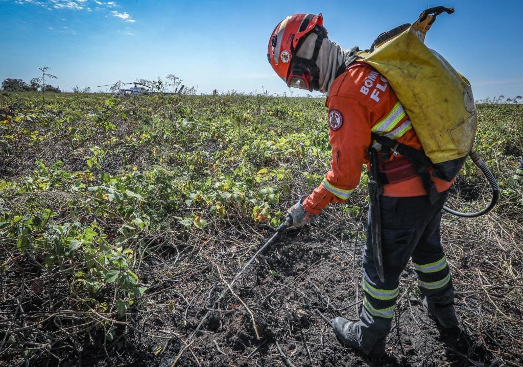 Período proibitivo de uso do fogo será de 1º de julho a 30 de novembro em Mato Grosso