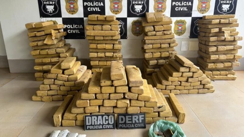 PC encontra 305 tabletes de maconha enterrados nos fundos de residência em MT