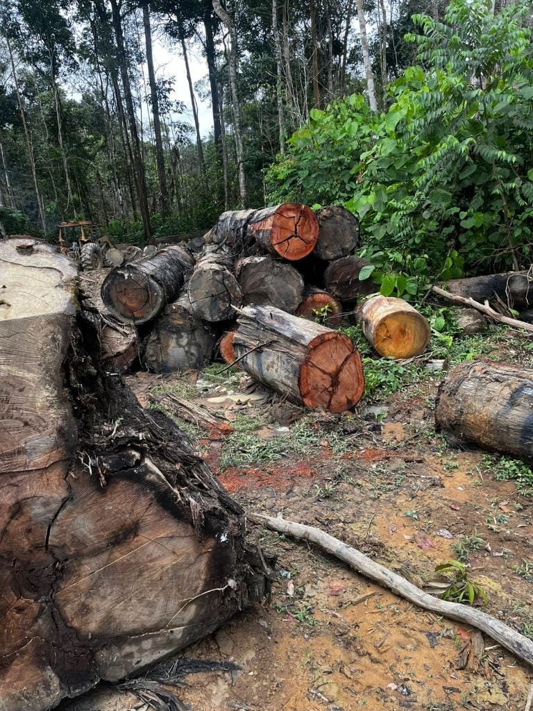 Sema apreende máquinas e aplica multa de R$ 200 mil por extração ilegal em Mato Grosso