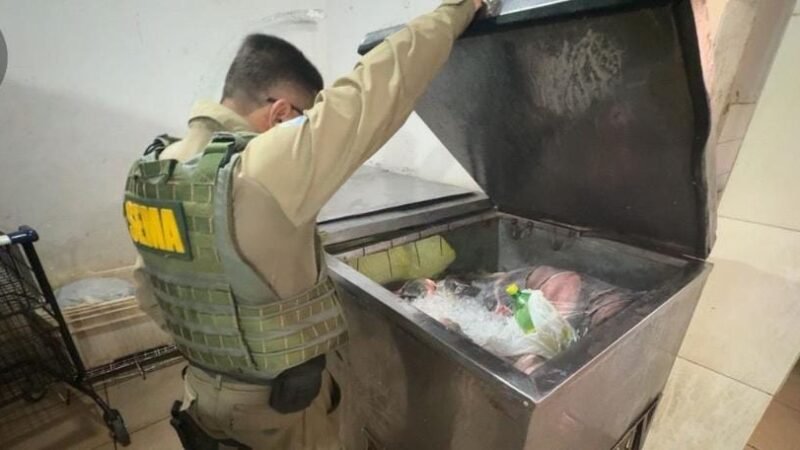 Sema apreende equipamentos proibidos e devolve dezenas de peixes ao Lago do Manso