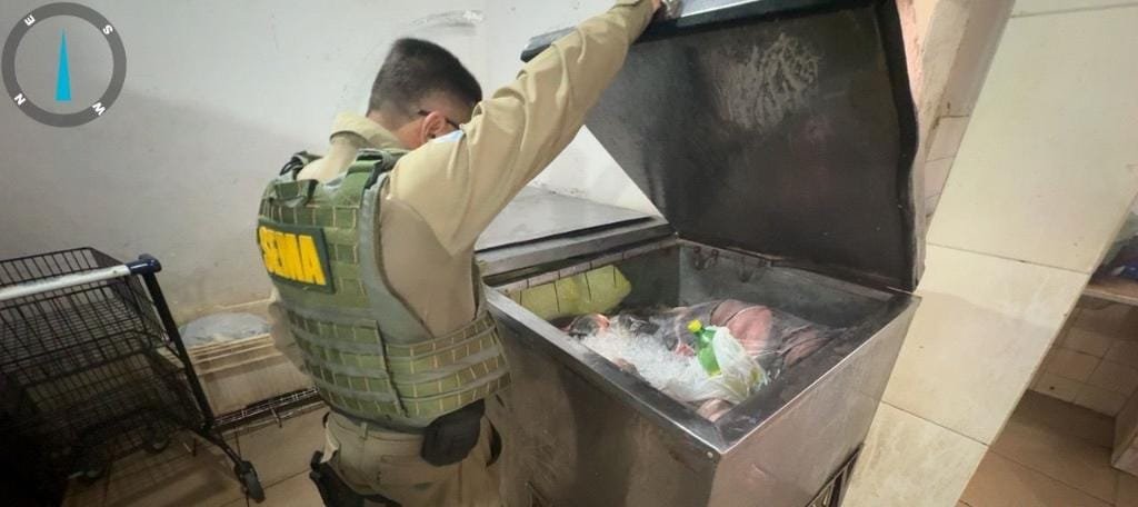 Sema apreende equipamentos proibidos e devolve dezenas de peixes ao Lago do Manso