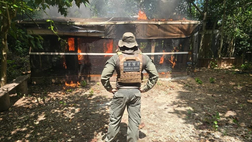 Polícia prende quatro pessoas e derruba construções irregulares em área de preservação APP