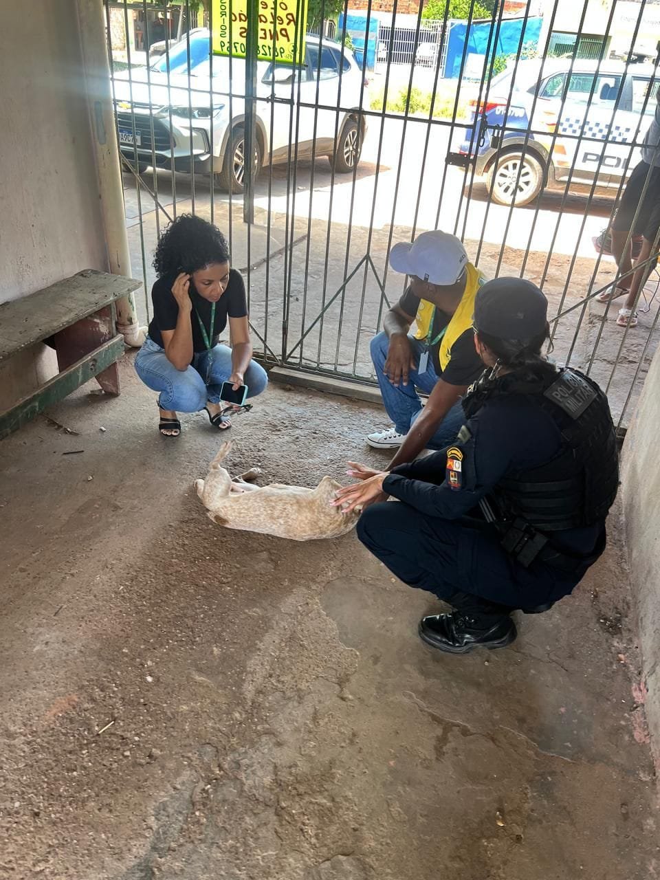 Idoso de 68 anos é preso pela PM em kitinet na capital por suspeita de zoofilia