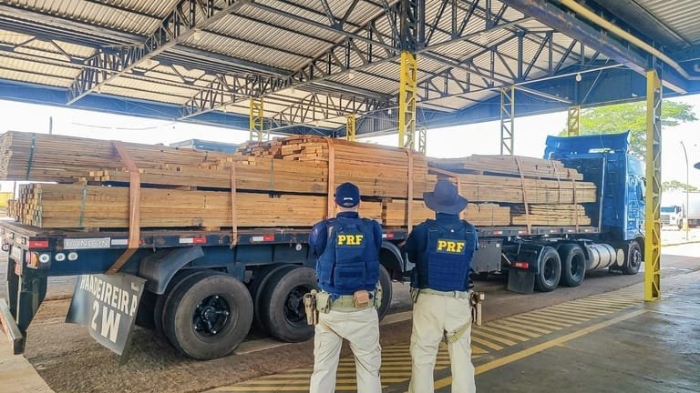 PRF apreende carga de madeira com irregularidades na rodovia BR-174 em Mato Grosso