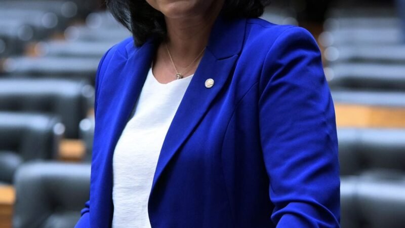 Ofensiva do governo contra bets reacende debate e destaca  PL de Gisela contra endividamento