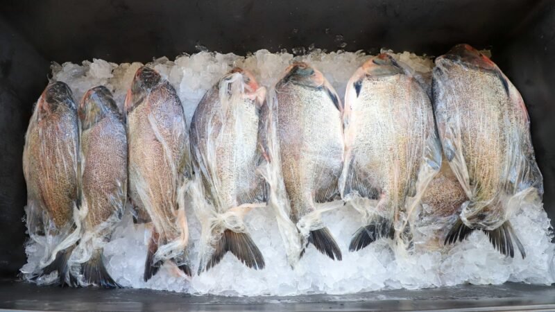 VG Santo Peixe movimenta mais de R$ 600 mil e vende cerca de 20 toneladas na Semana Santa