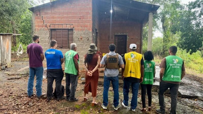 Polícia Civil identifica ex-presidiário por maus-tratos e abuso sexual contra cachorro