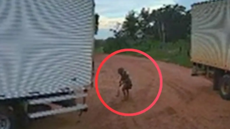 Vídeo mostra momento em que caminhão atropela e mata idosa de 104 anos em Várzea Grande