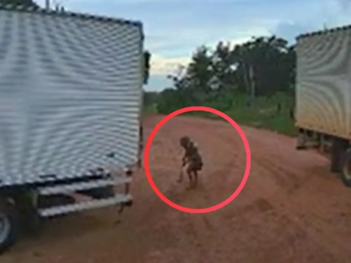 Vídeo mostra momento em que caminhão atropela e mata idosa de 104 anos em VG