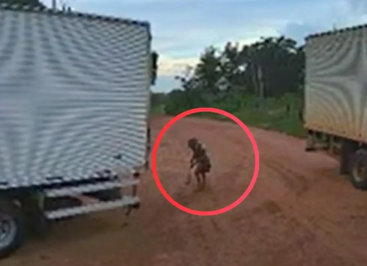 Vídeo mostra momento em que caminhão atropela e mata idosa de 104 anos em VG