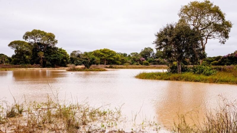 Período de defeso será entre 1º de outubro de 2026 e 31 de janeiro de 2027 em MT