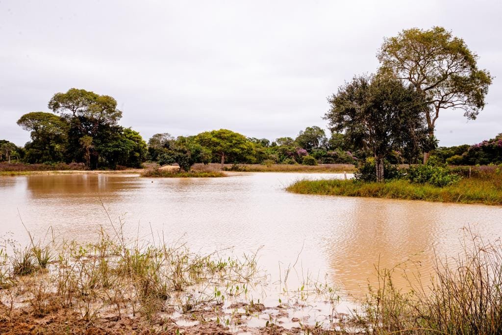 Período de defeso será entre 1º de outubro de 2026 e 31 de janeiro de 2027 em MT