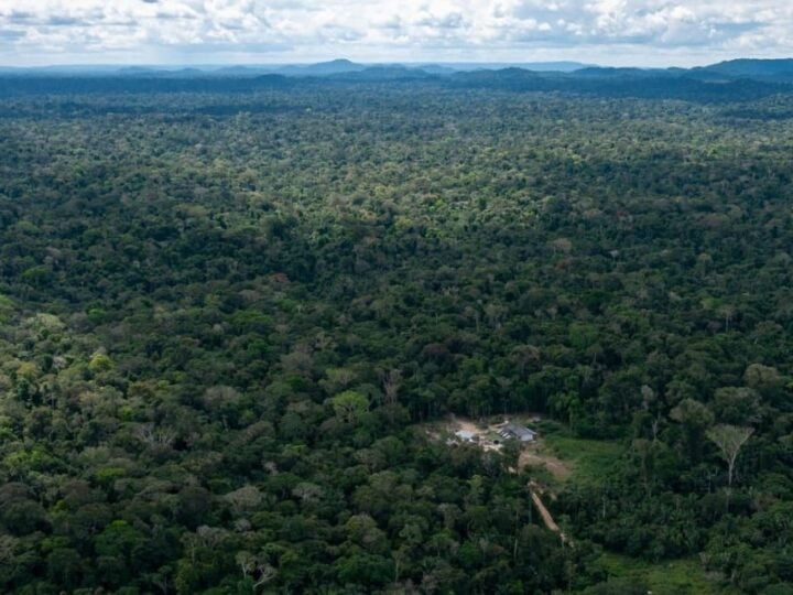 Justiça Federal determina retomada da demarcação de Terra Indígena em Mato Grosso