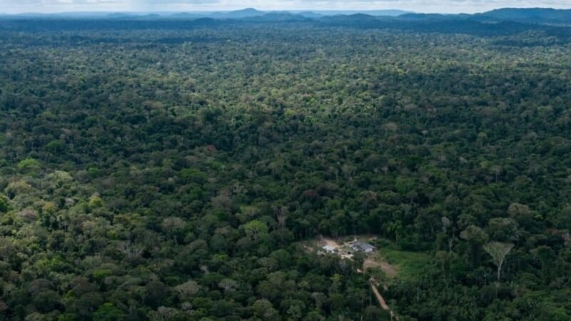 Justiça Federal determina retomada da demarcação de Terra Indígena em Mato Grosso