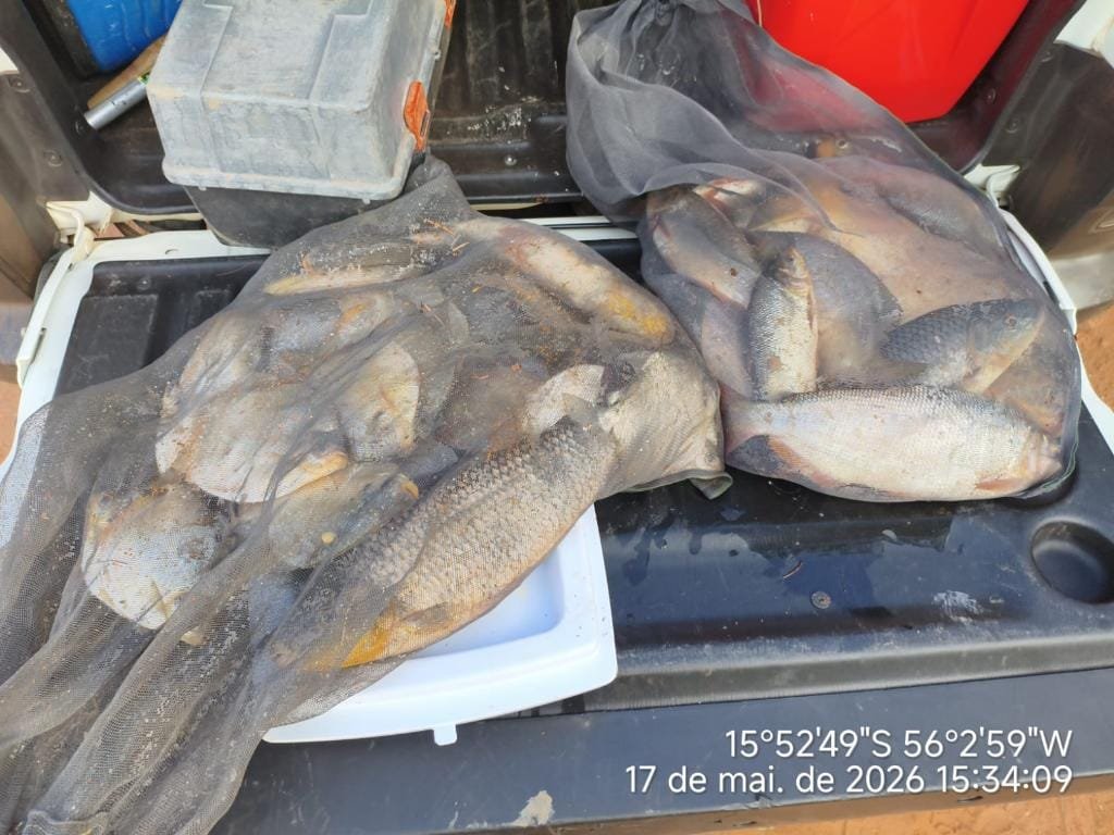 Batalhão Ambiental da PM prende homem com pescado ilegal em caminhonete