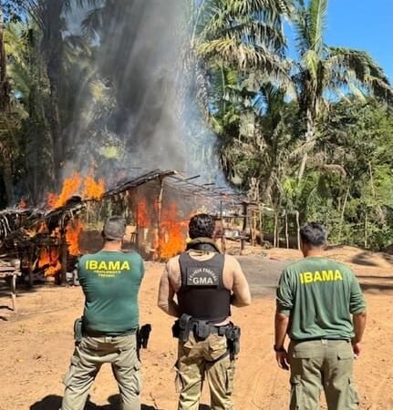 PF e Ibama derrubam esquema de invasões e desmatamento de áreas da União em Mato Grosso