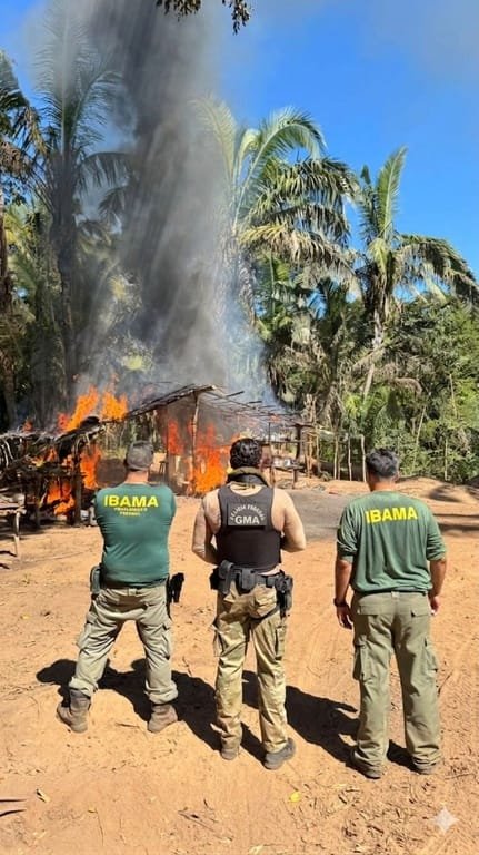 PF e Ibama derrubam esquema de invasões e desmatamento de áreas da União em Mato Grosso