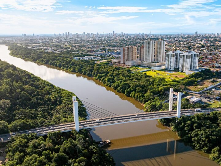 Após derrubada de árvores, Cuiabá decreta regras mais rígidas para poda de árvores