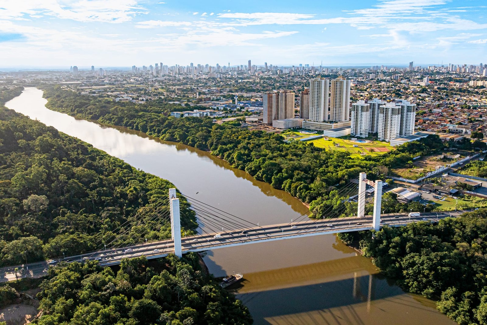 Após derrubada de árvores, Cuiabá decreta regras mais rígidas para poda de árvores
