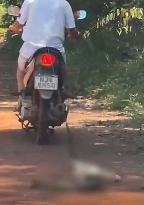 Vídeo mostra cachorro sendo arrastado por motociclista em Várzea Grande