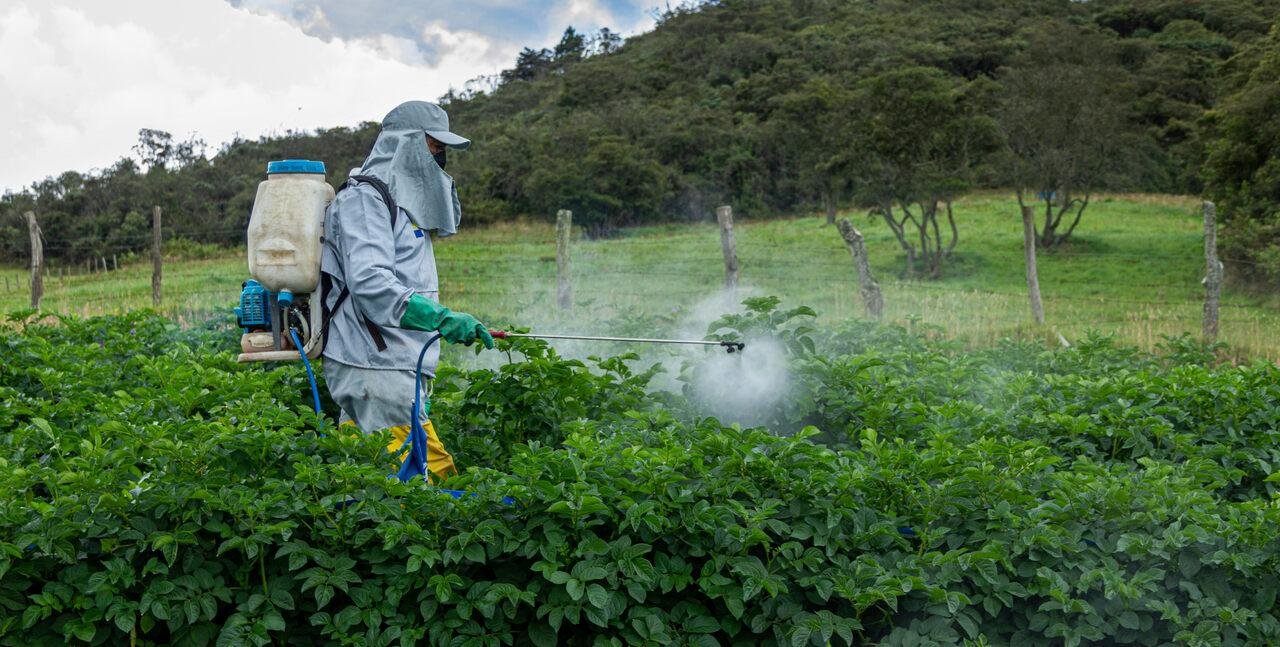 Fazendeiro terá que pagar R$ 40 mil por danos causados por agrotóxico em lavouras vizinhas