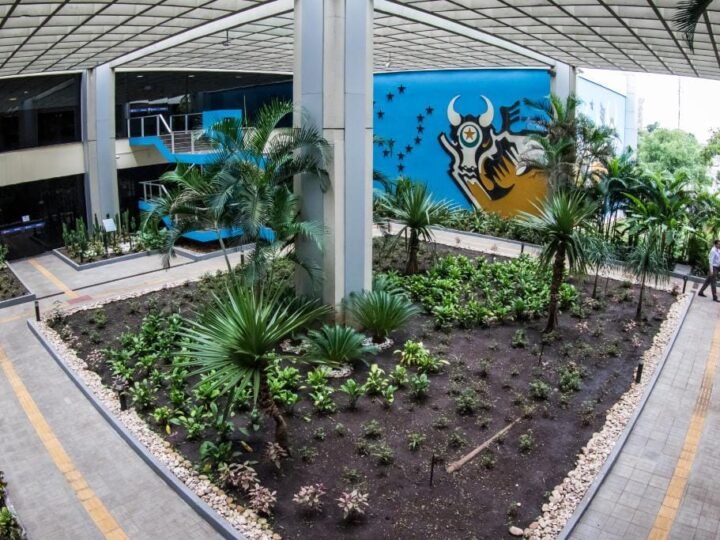 CGE e PGE alertam que é vedada a distribuição gratuita de bens em ano eleitoral