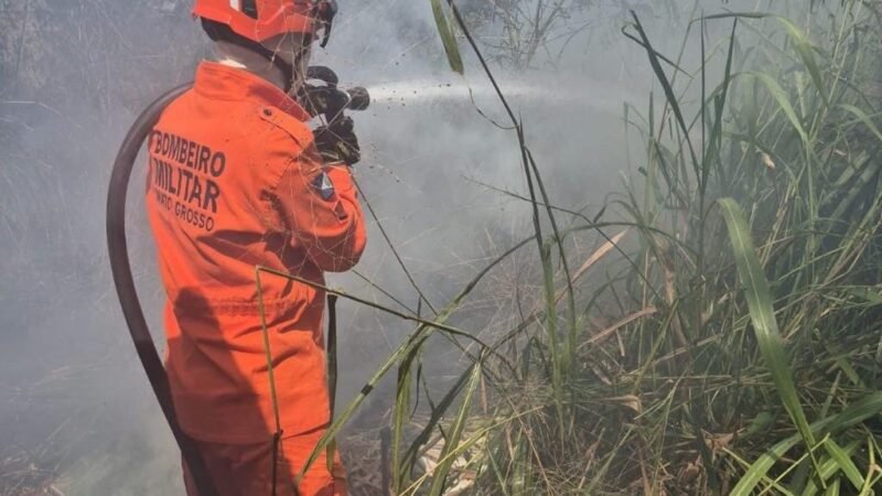 CB combate incêndio em terreno urbano e atende vítima de acidente de trânsito
