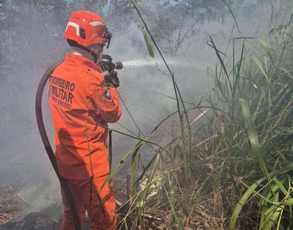CB combate incêndio em terreno urbano e atende vítima de acidente de trânsito