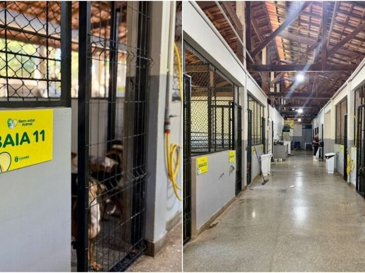 Cuiabá reforça proteção animal e vistorias oficiais não apontam irregularidades