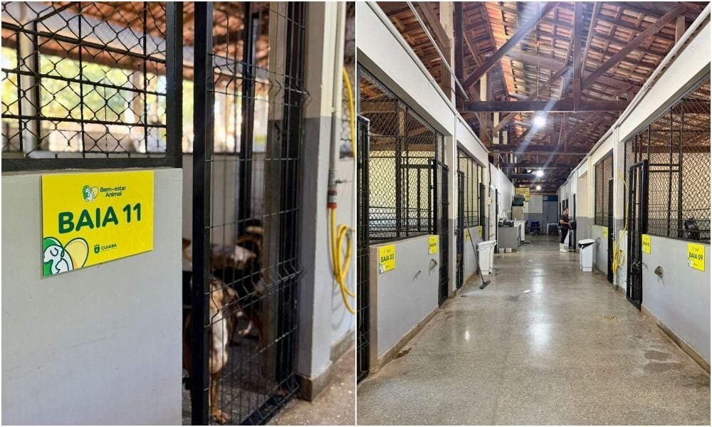 Cuiabá reforça proteção animal e vistorias oficiais não apontam irregularidades